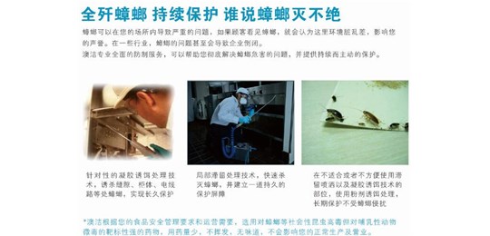 滅蟑螂的防治措施